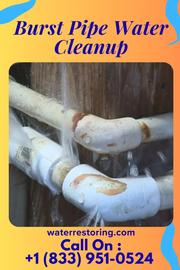 Burst Pipe Water Cleanup in McLeansboro, IL