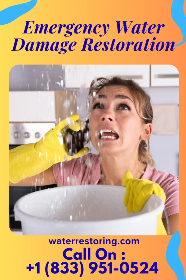 Emergency Water Damage Restoration in McLeansboro, IL