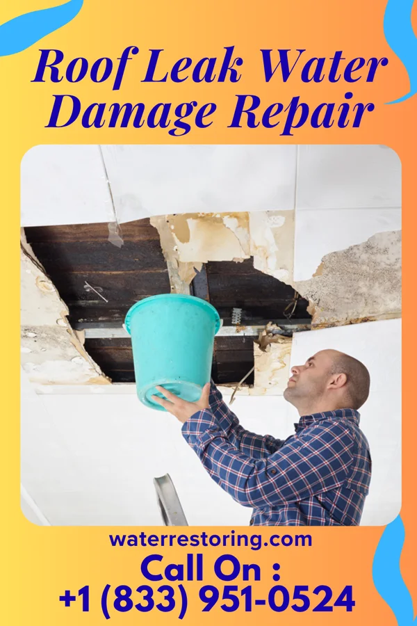 Roof Leak Water Damage Repair in McLeansboro, IL