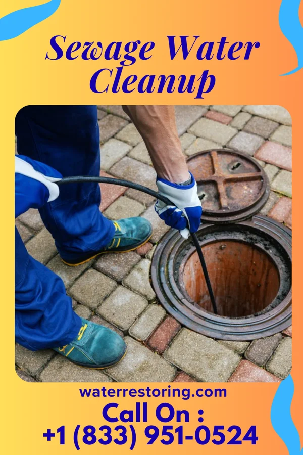 Sewage Water Cleanup in McLeansboro, IL